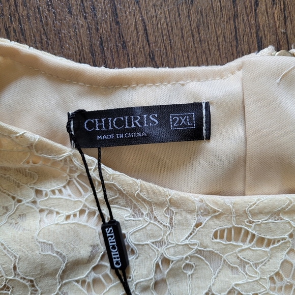 Chiciris Beige Short Sleeve Sexy Sheer Mesh Lace Crop Top Blouse Size Women 2X - Picture 11 of 11
